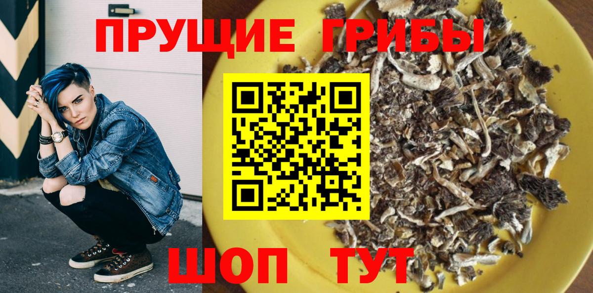 Галлюциногенные грибы прущие грибы Кострома